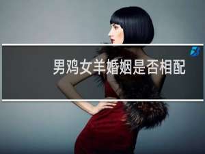 男鸡女羊婚姻是否相配