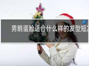 男鹅蛋脸适合什么样的发型短发