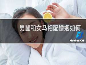 男鼠和女马相配婚姻如何