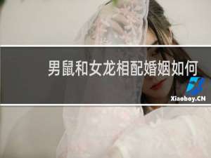 男鼠和女龙相配婚姻如何