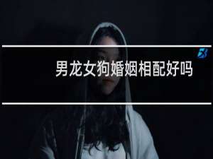 男龙女狗婚姻相配好吗