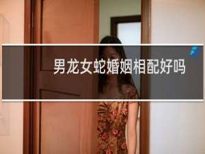 男龙女蛇婚姻相配好吗