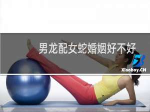 男龙配女蛇婚姻好不好