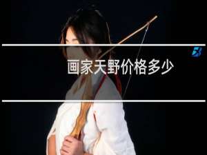 画家天野价格多少