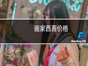 画家西茜价格