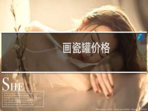 画瓷罐价格