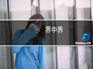 界中界  攻略