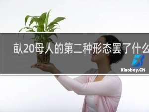 畒 母人的第二种形态罢了什么梗