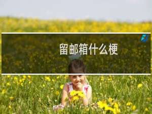 留邮箱什么梗