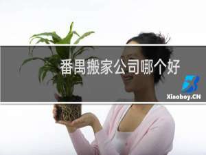 番禺搬家公司哪个好