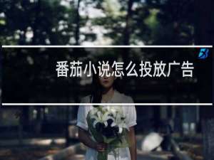 番茄小说怎么投放广告