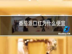 番茄派口红为什么便宜