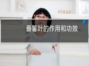 番薯叶的作用和功效