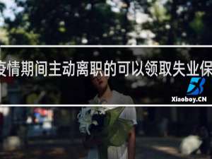 疫情期间主动离职的可以领取失业保险金吗