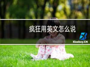 疯狂用英文怎么说