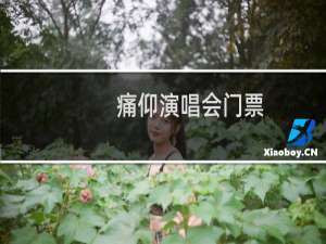 痛仰演唱会门票