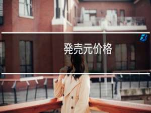 発売元价格