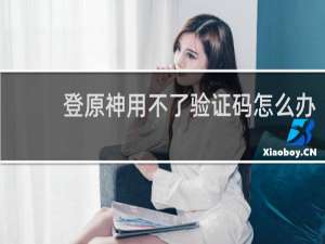登原神用不了验证码怎么办