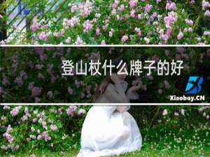 登山杖什么牌子的好