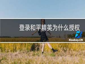 登录和平精英为什么授权不成功