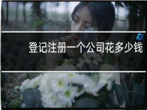 登记注册一个公司花多少钱