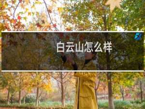 白云山怎么样