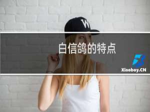 白信鸽的特点