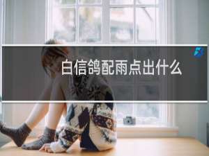白信鸽配雨点出什么