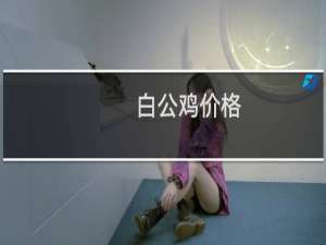 白公鸡价格