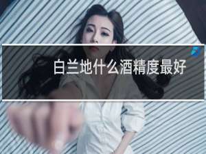 白兰地什么酒精度最好