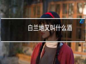 白兰地又叫什么酒