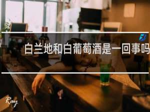 白兰地和白葡萄酒是一回事吗