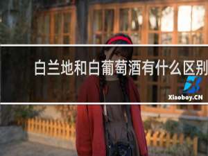 白兰地和白葡萄酒有什么区别