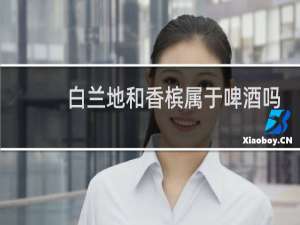 白兰地和香槟属于啤酒吗