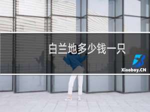 白兰地多少钱一只