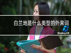 白兰地是什么类型的外来词