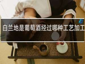 白兰地是葡萄酒经过哪种工艺加工制成