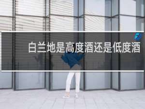 白兰地是高度酒还是低度酒