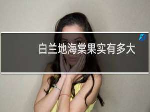 白兰地海棠果实有多大