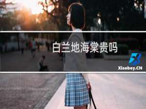 白兰地海棠贵吗