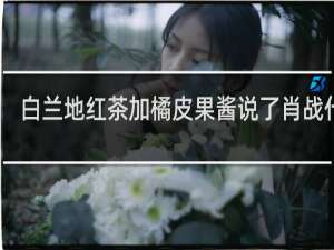 白兰地红茶加橘皮果酱说了肖战什么