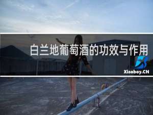 白兰地葡萄酒的功效与作用