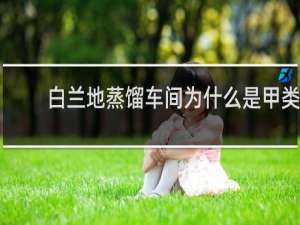 白兰地蒸馏车间为什么是甲类