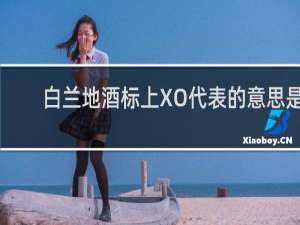 白兰地酒标上XO代表的意思是