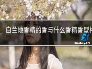 白兰地香精的香与什么香精香型相近