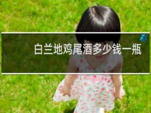 白兰地鸡尾酒多少钱一瓶
