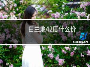 白兰地42度什么价
