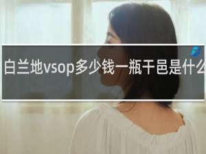 白兰地vsop多少钱一瓶干邑是什么意思