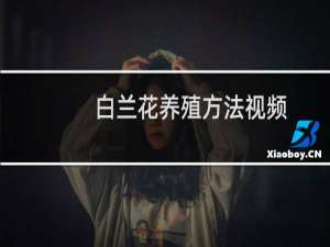 白兰花养殖方法视频