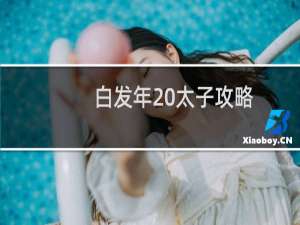 白发年 太子攻略